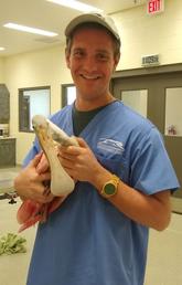 Alan Glassman holding a roseate spoonbill, one of his favorite bird species.