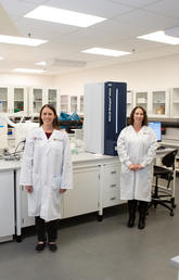 From left, Jennifer Davies, Lindsay Rogers, and Beverly Morris