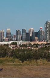 Sanders Lee looks at Calgary skyline. 