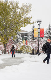 winter on campus