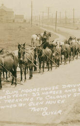 32 horses and 8 wagons of grain