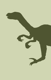 Velociraptor dinosaur