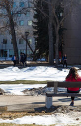 Student sitting on a bench on campus 