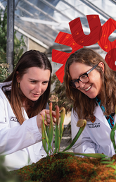 Two researchers looking at plant