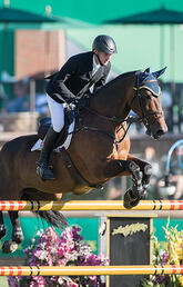 A rider on the back of a jumping horse