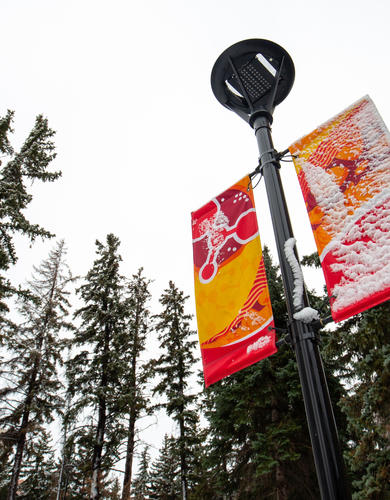 University of Calgary campus