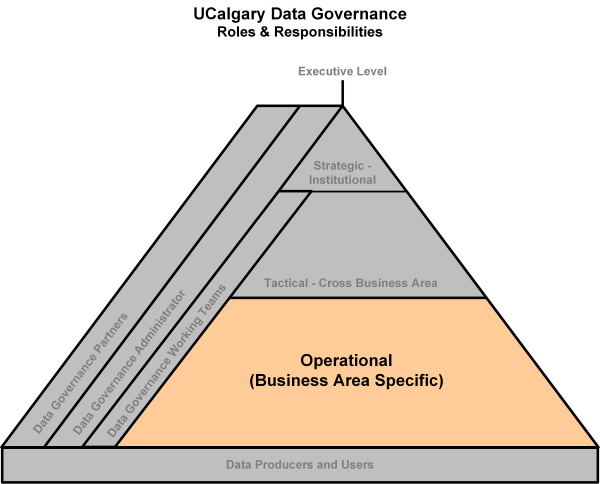 Operational Level DGO