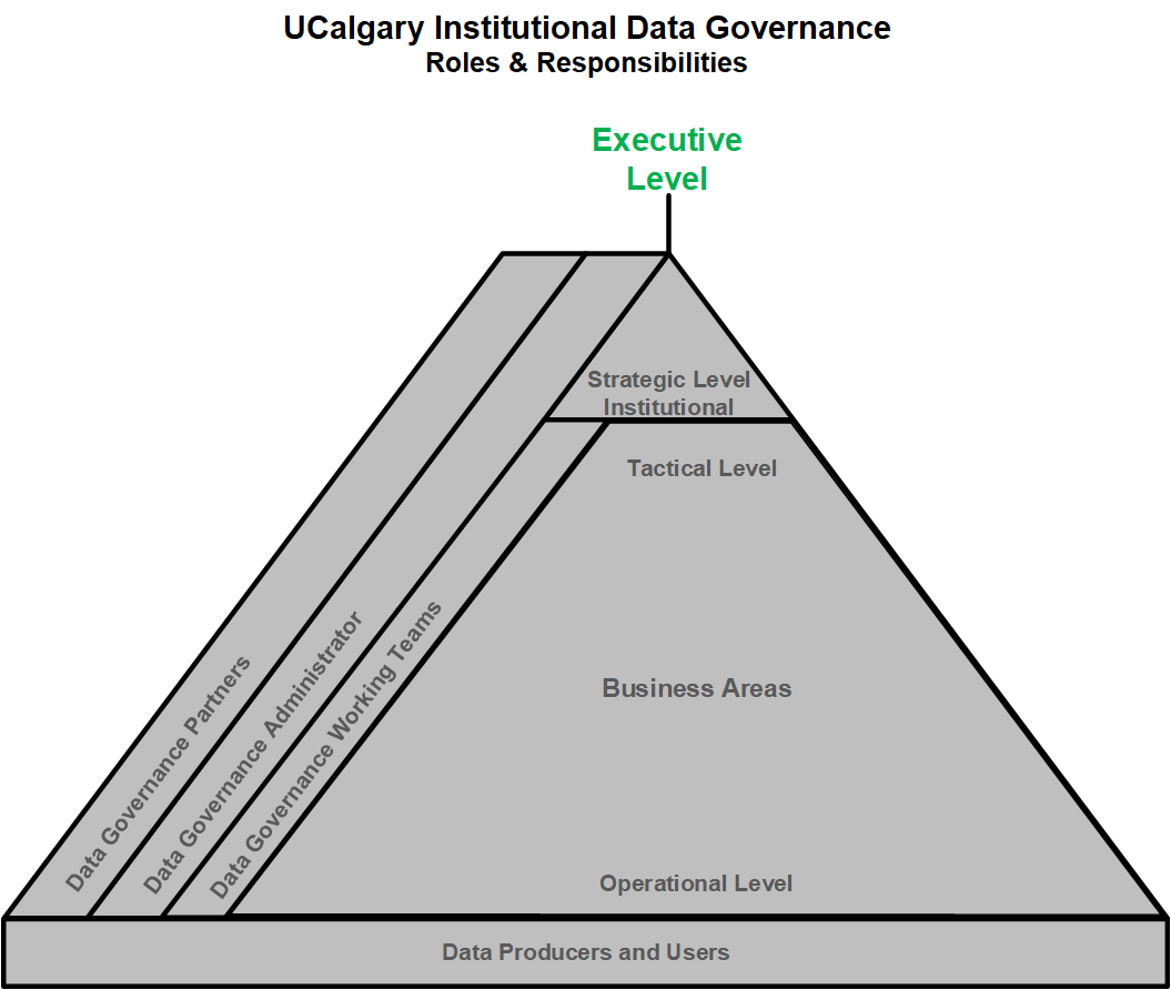 IDG Pyramid - Executive Level IDG Pyramid - Executive Level