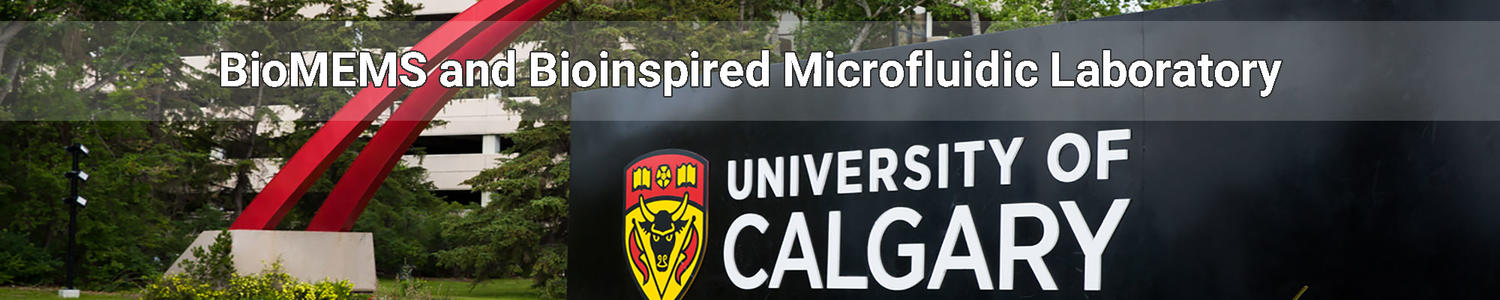 University of Calgary