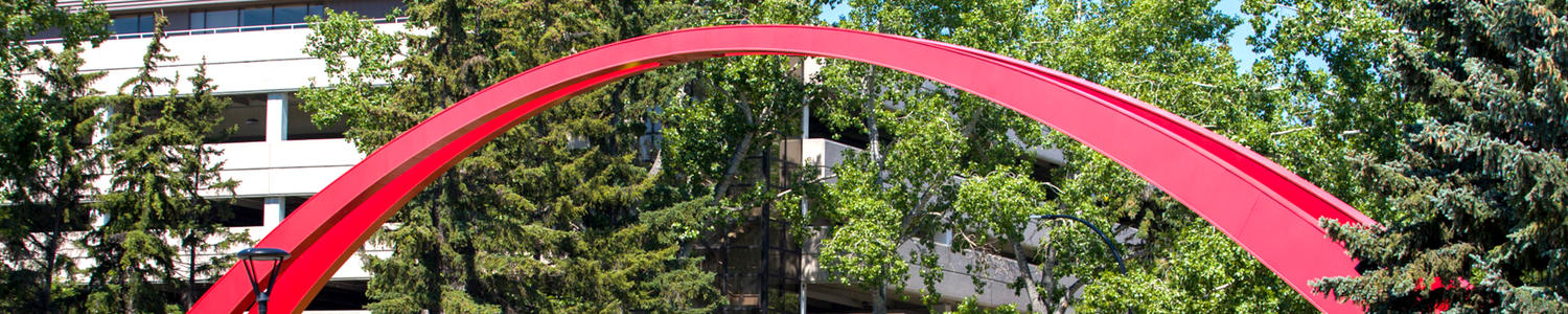 uCalgary Zoom