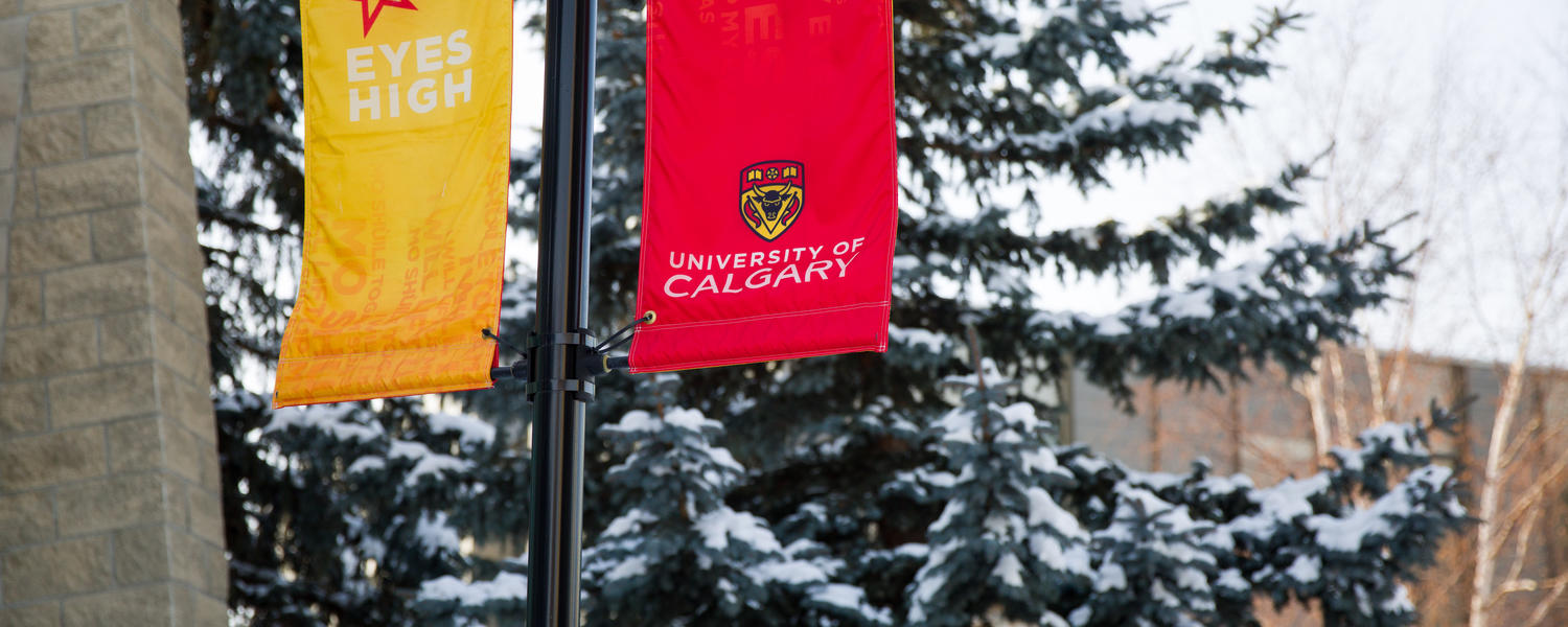 University of Campus Flag in the Winter