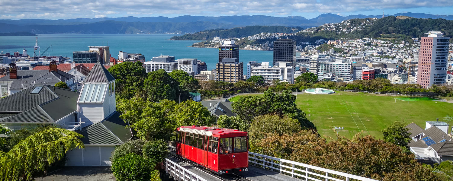 Wellington city