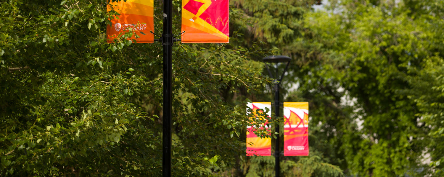 UCalgary campus in the summer