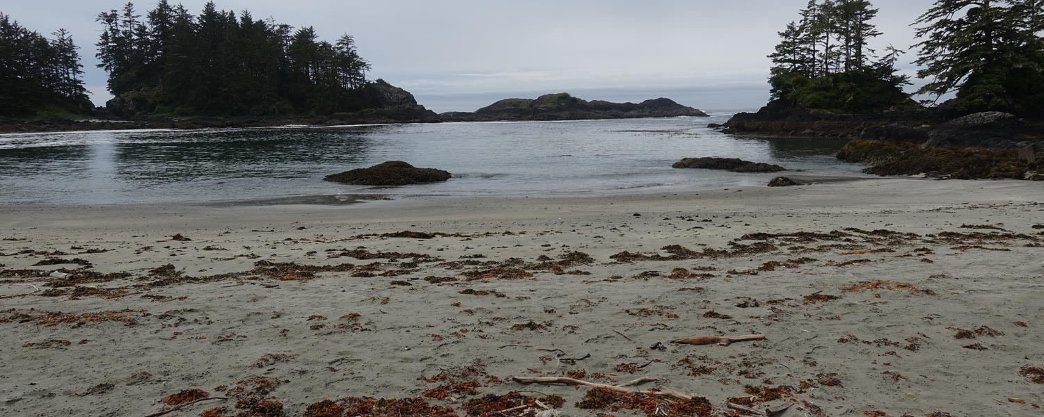 Ucluelet Beach