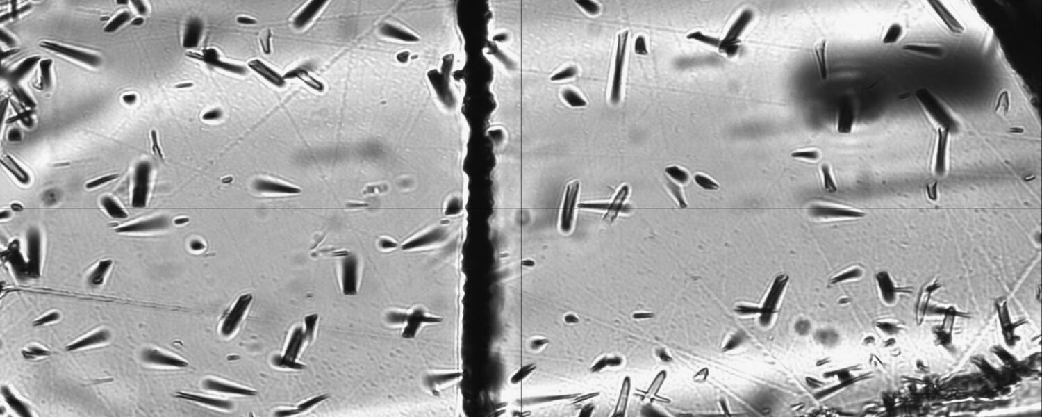 Etched fission tracks in an apatite crystal