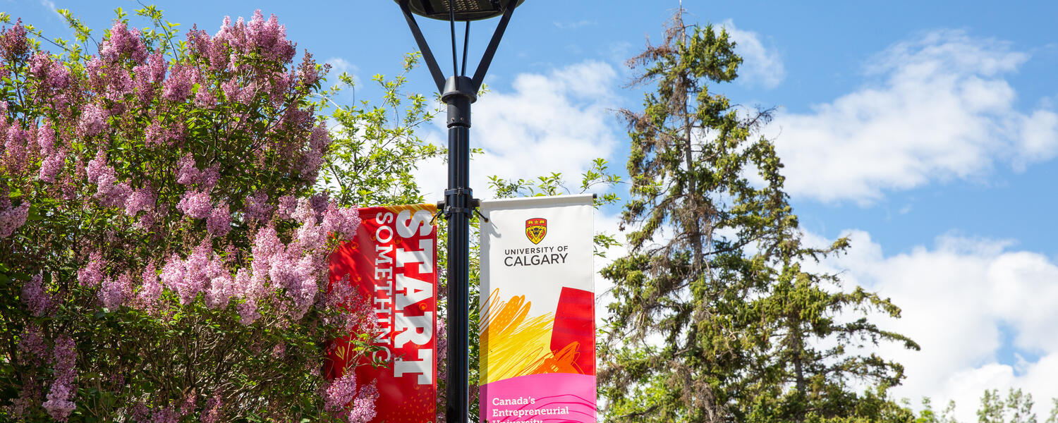 University of Calgary Campus in the Summer