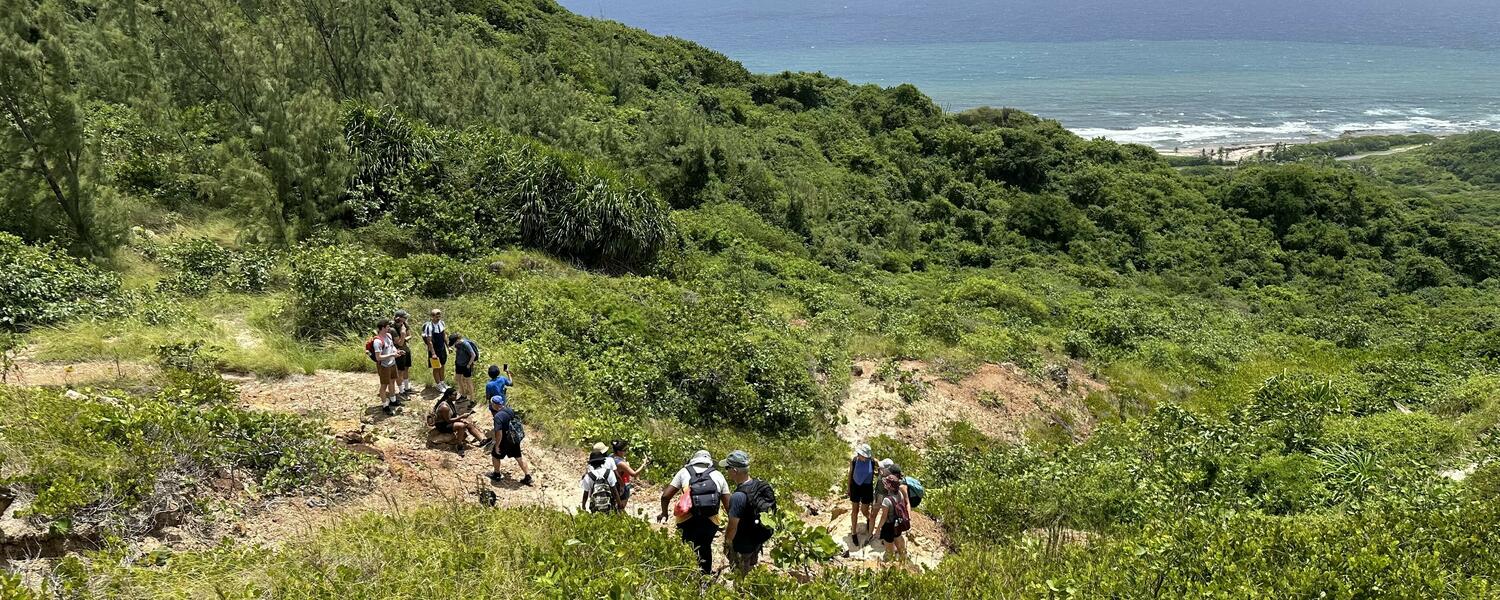 Students participating in fieldwork