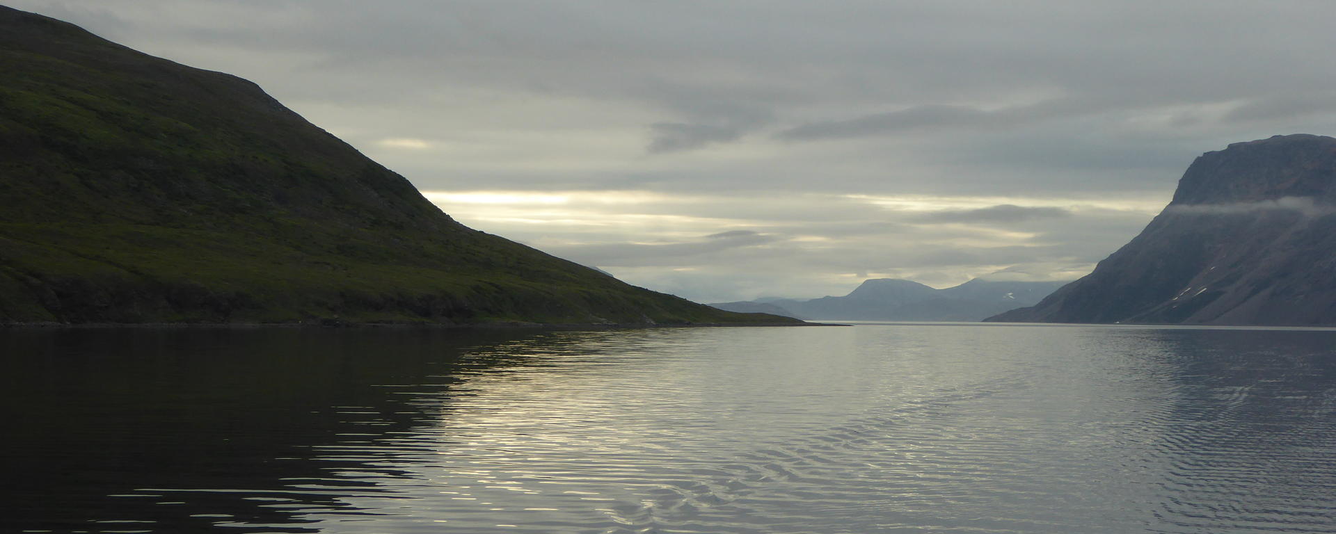 Labrador