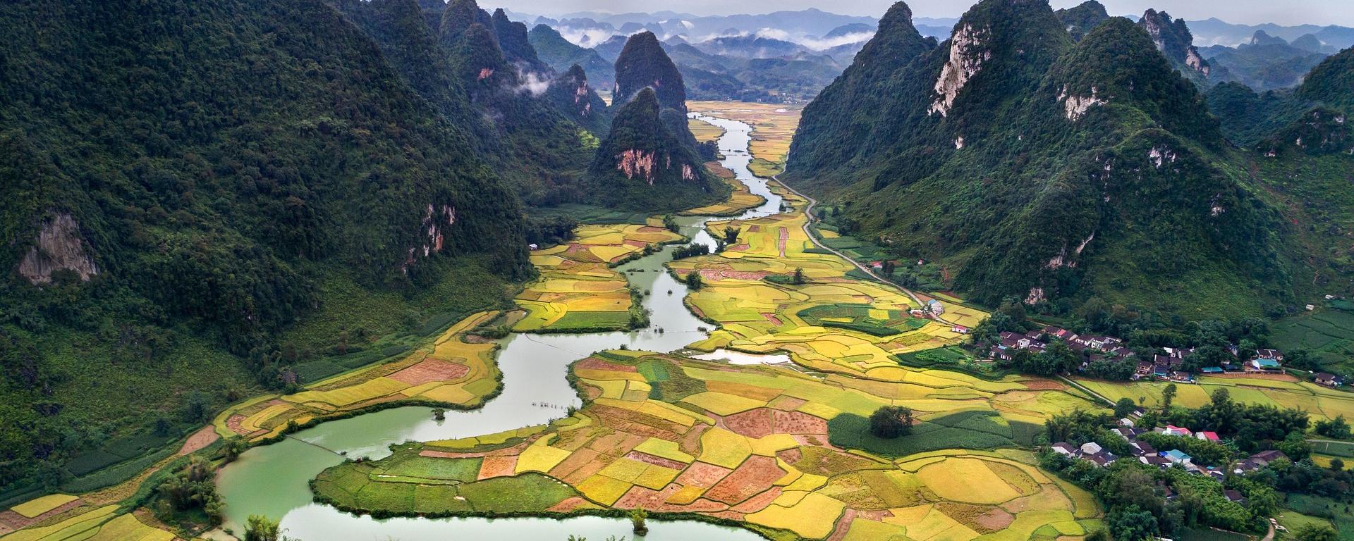 Aerial view of mountain with rice fields
