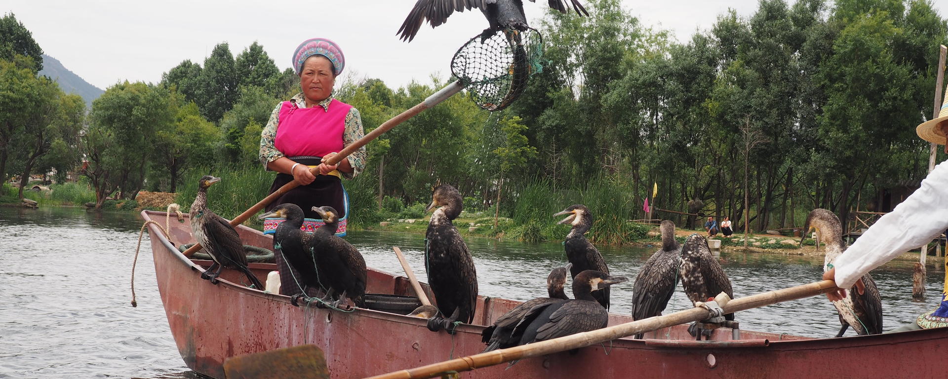 A woman stands at the bow of a rowboat; she is holding a fishing net with a large bird perched on top, and more birds in the boat