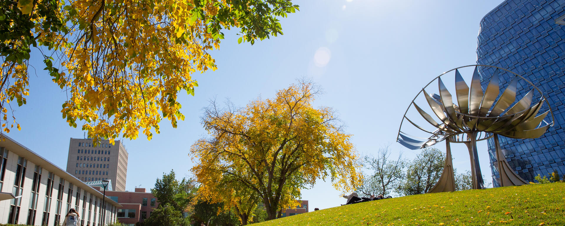 University of Calgary Campus fall season