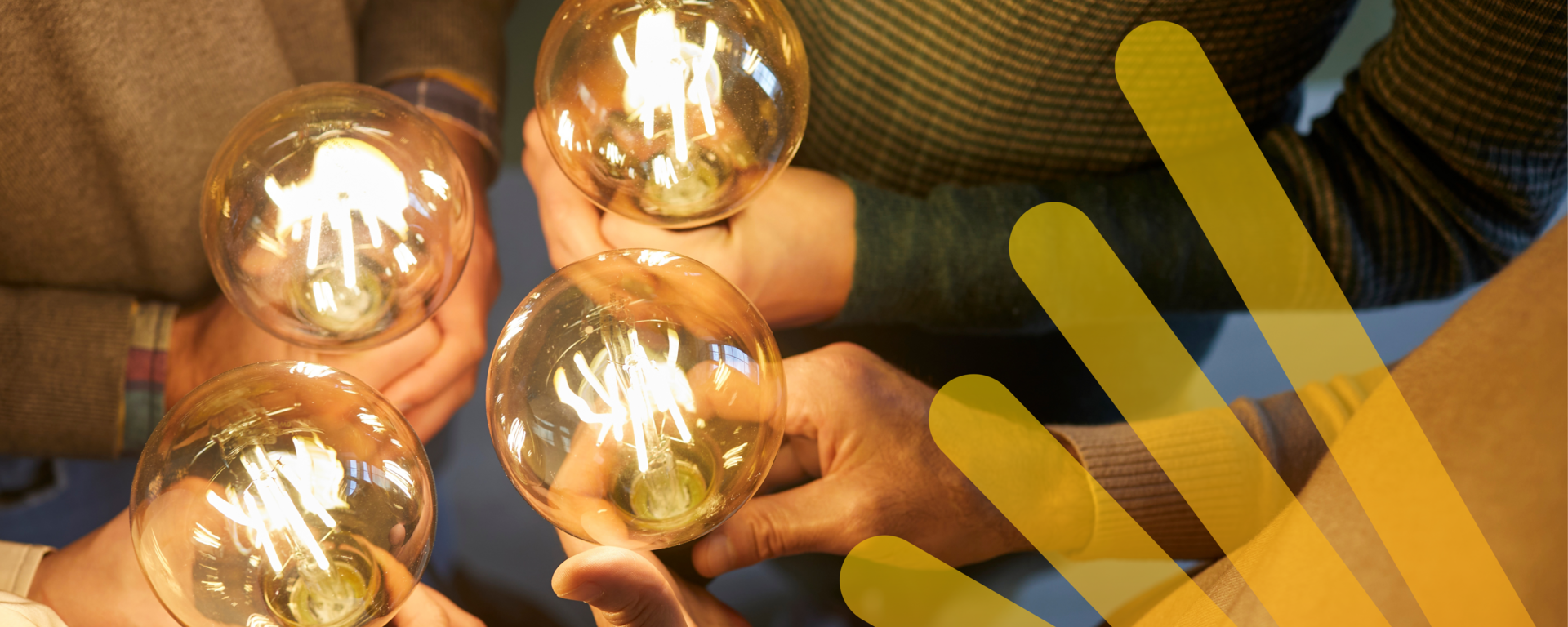 group of people holding lightbulbs 