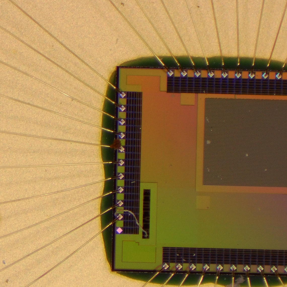 New Silicon Die Shot