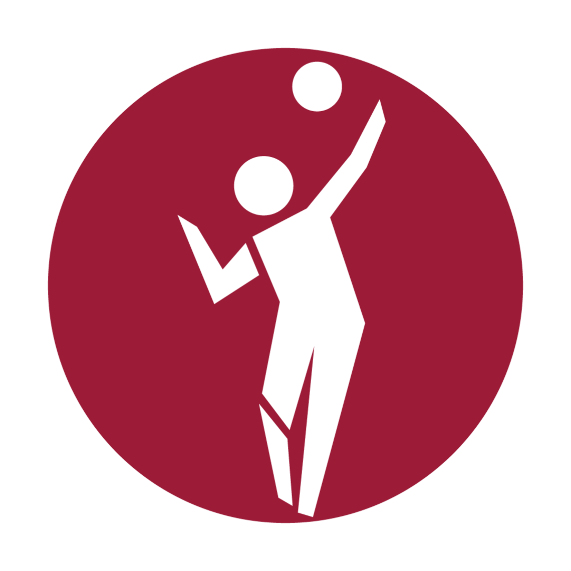 SIPRC Volleyball Icon