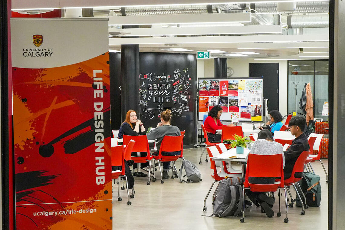 image of the Life Design Hub