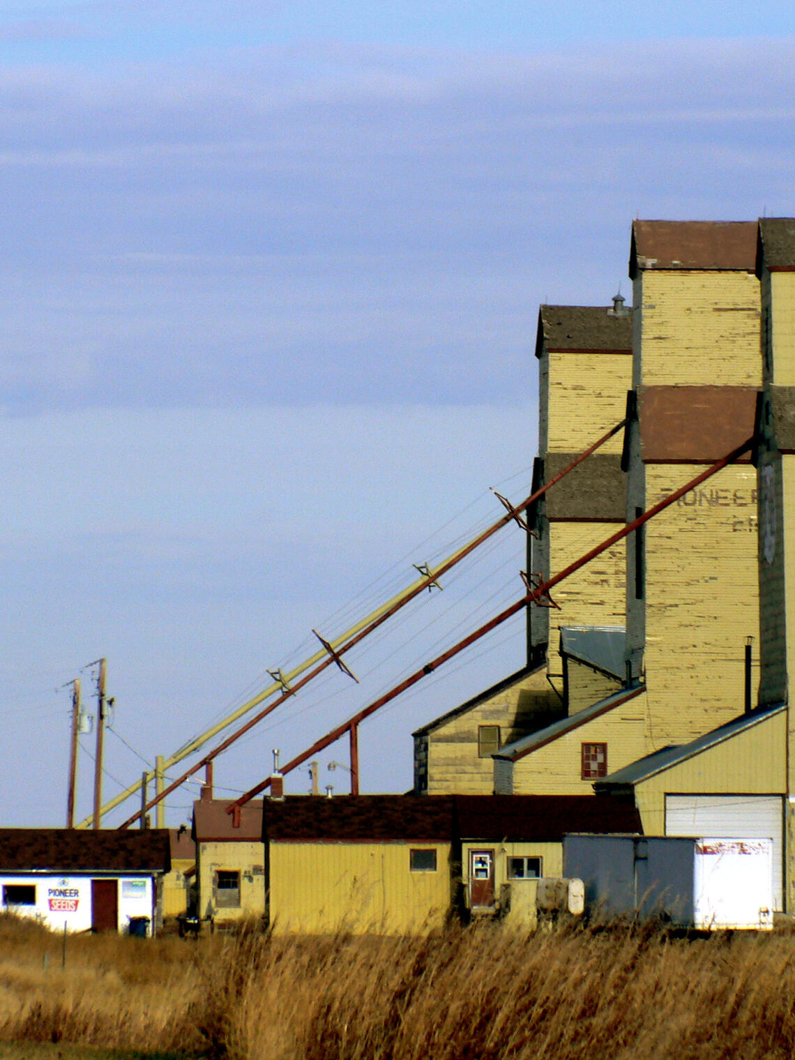 tall yellow grain elevators against a blue sky, with dry grass in the foreground