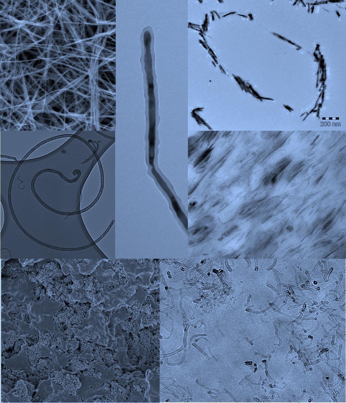 Morphology of carbon nanotubes