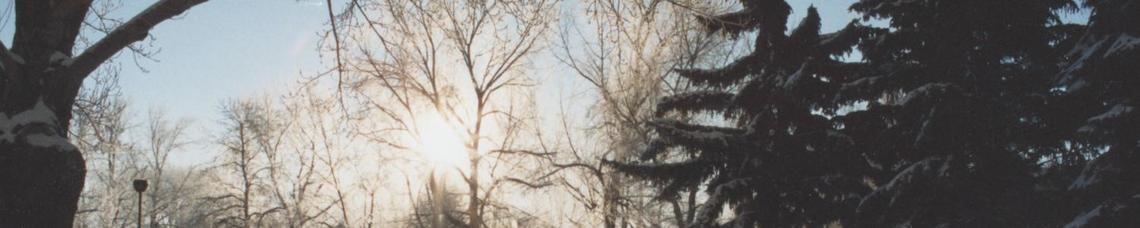 Image of a winter scene Image of a winter scene