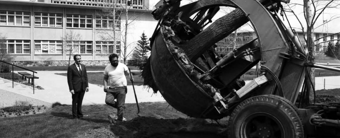 Image_of_mature_deciduous_trees_being_planted_on_campus_0.jpg Image_of_mature_deciduous_trees_being_planted_on_campus_0.jpg
