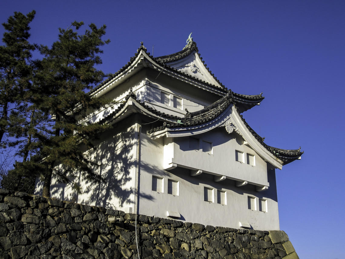 Nagoya castle