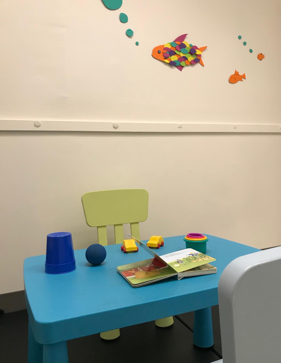 Babysibs Testing Room