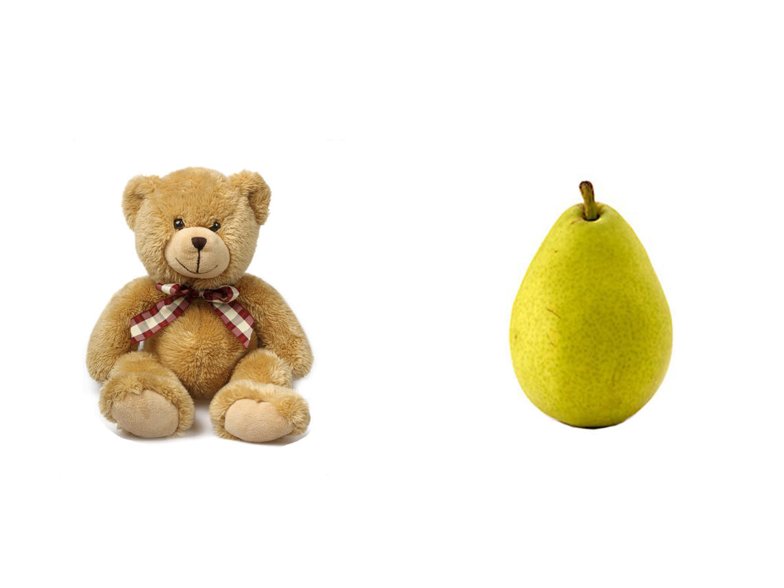 Image of a Bear and a Pear
