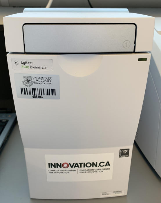Agilent 2100 Bioanalyzer Agilent 2100 Bioanalyzer