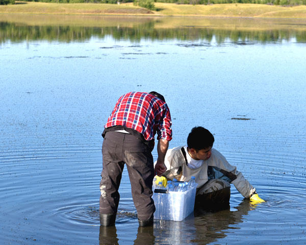 soda lake sampling