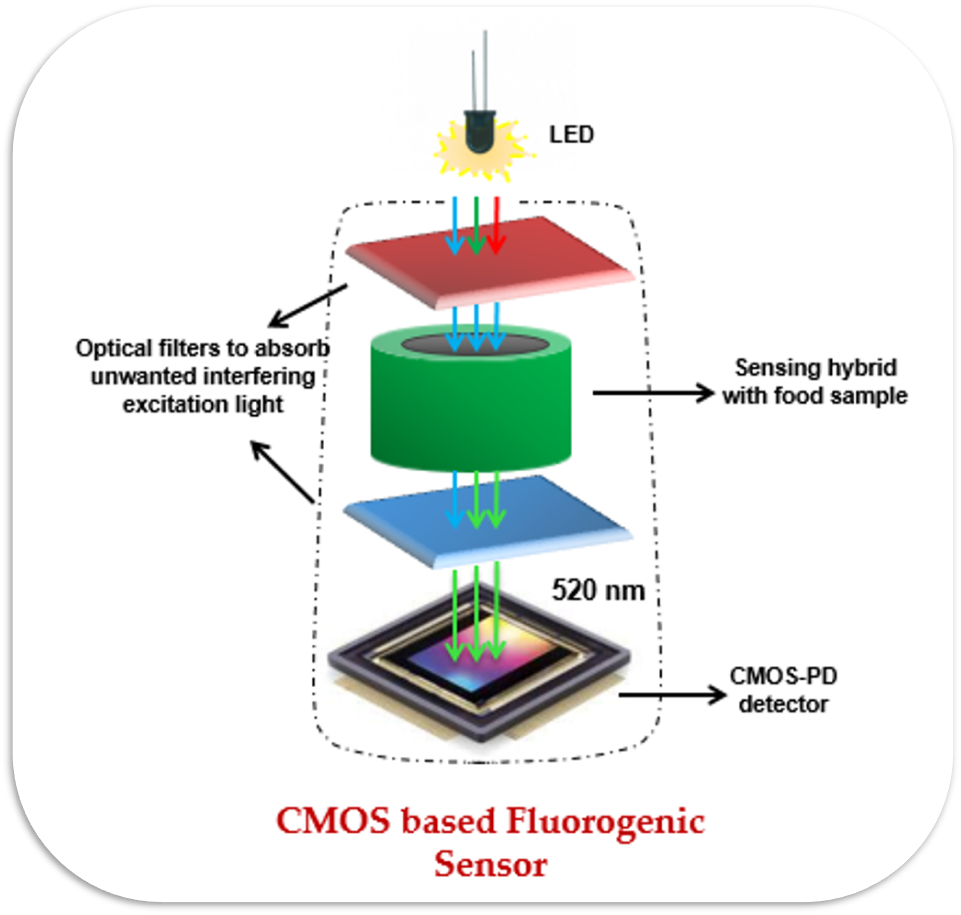 Optical Device Principal