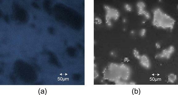 Microbeads on Emission Filter