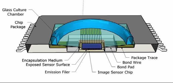 Contact CMOS Imager Based System