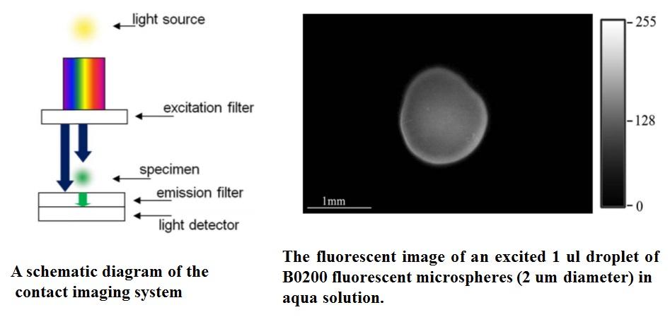Contact imaging System Contact imaging System