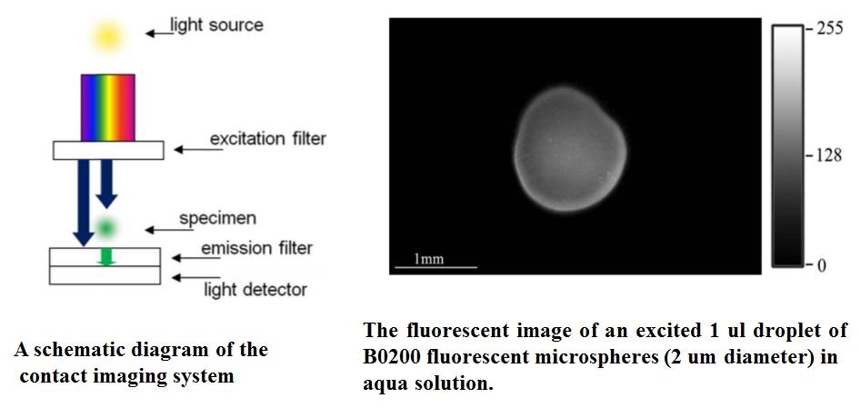 Contact imaging System