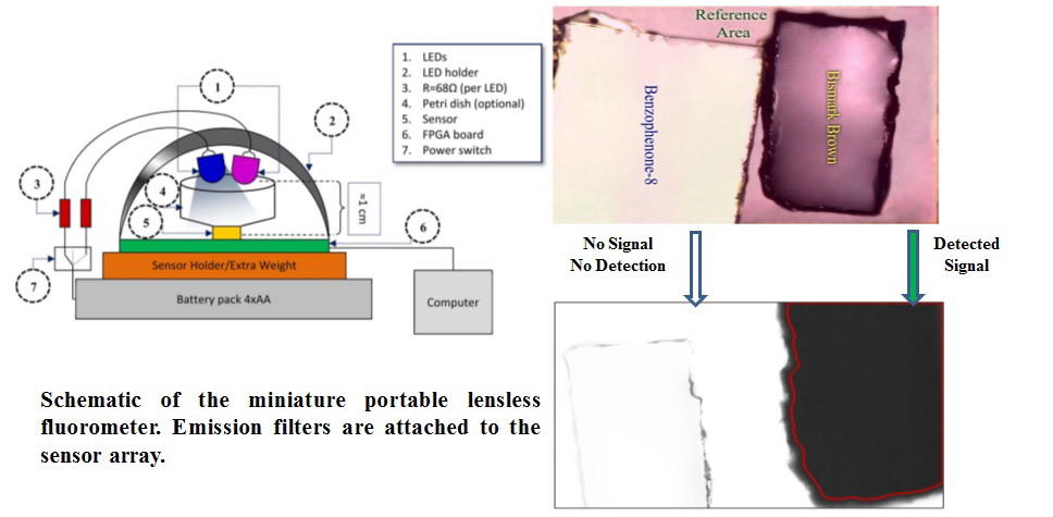 Lensless Fluorometer
