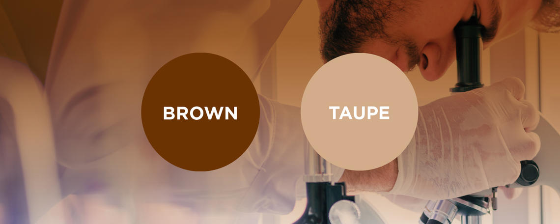 Brown and Taupe Brown and Taupe