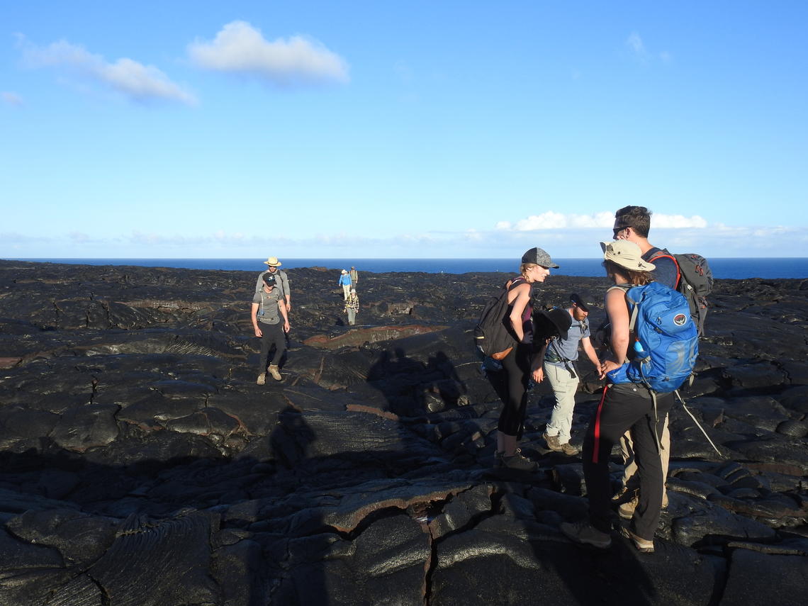 Students doing field work