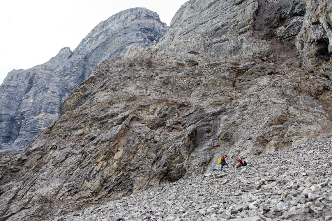 The researchers stop to deploy senors to log the area's temperature