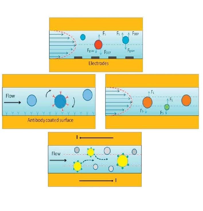 Microfluidic approaches for isolation, detection, and characterization of extracellular vesicles: current status and future directions