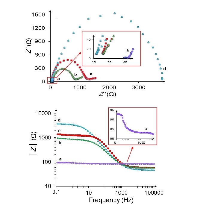Label-free ultrasensitive detection of breast cancer miRNA-21 biomarker employing electrochemical nano-genosensor based on sandwiched AgNPs in PANI and N-doped graphene