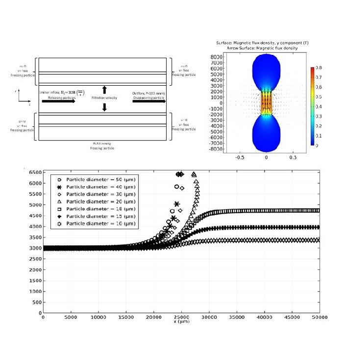 Delivery of magnetic micro/nanoparticles and magnetic-based drug/cargo into arterial flow for targeted therapy